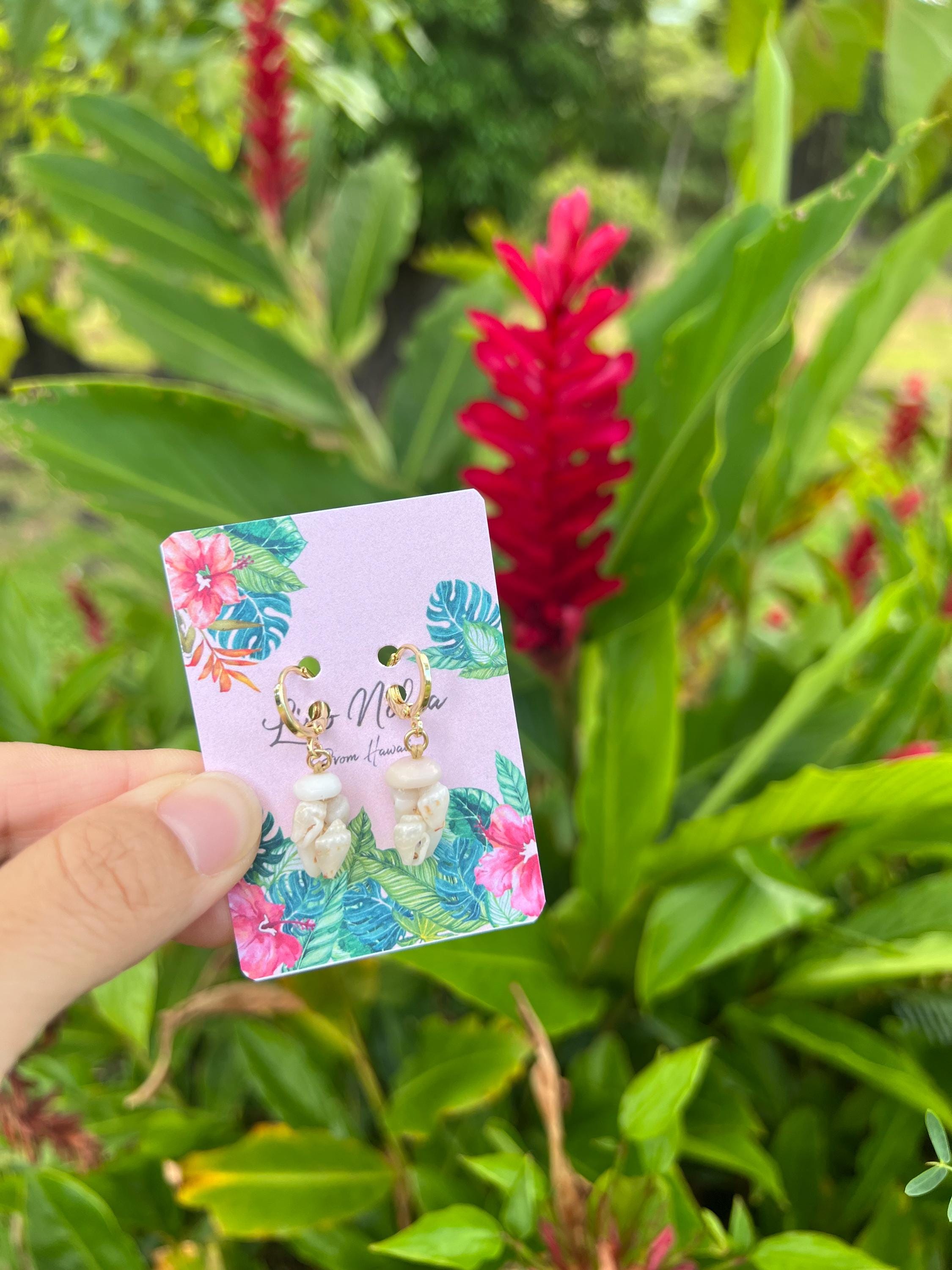 ニイハウ貝 ニイハウ貝、モミ、ハワイアンシェル、ニイハウ貝ジュエリー、ハワイ