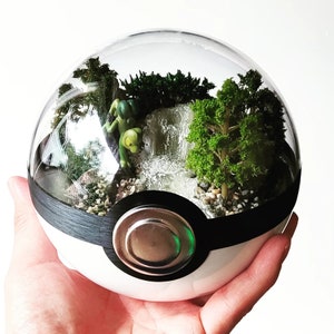 Fan Art TREECKO (Large 5.5inch) Pokeball Diorama Terrarium