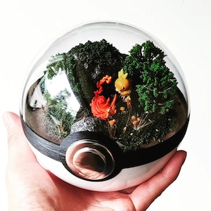 TORCHIC (Large 5.5inch) Pokeball Diorama Terrarium