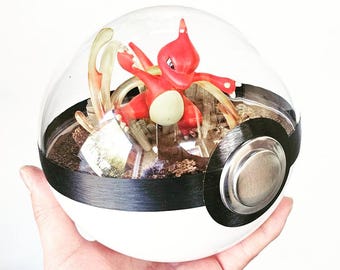 May include: A red and white decorative Pokeball with a red Charmeleon figure inside. The clear dome reveals a detailed diorama with plant-like elements and a black band around the middle. The ball is held in a hand.
