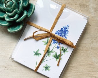 Texas Bluebonnet & Wildflower Collection Note Card Set