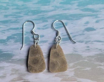 A Stunning Pair of Genuine Michigan Petoskey Stone Earrings