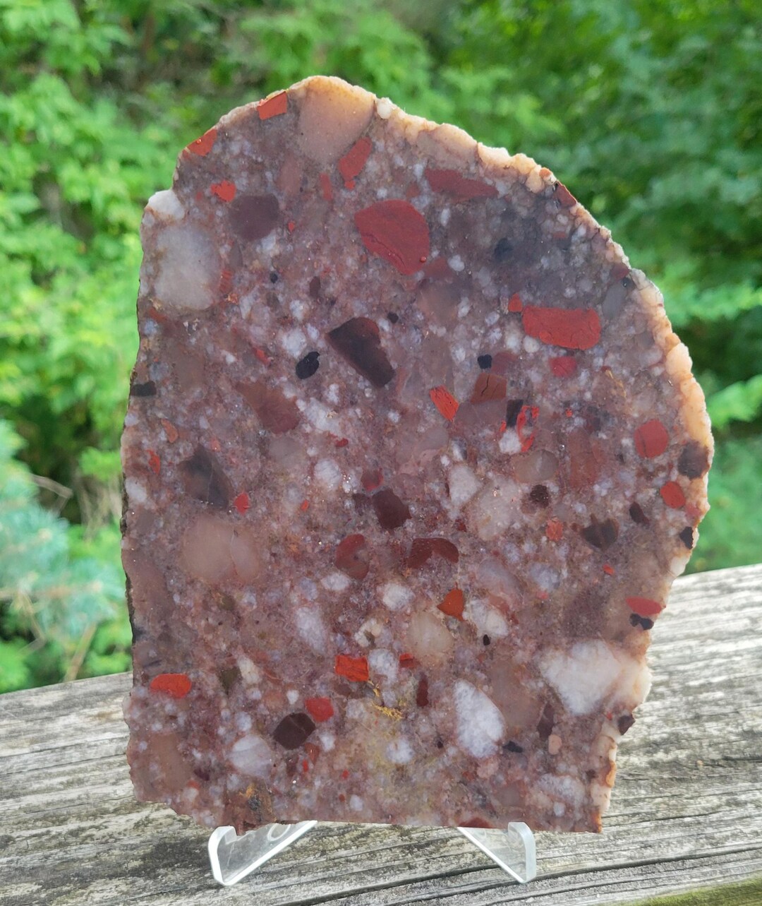 A Large Loaded Rough Slab of Michigan Pudding Stone - Etsy