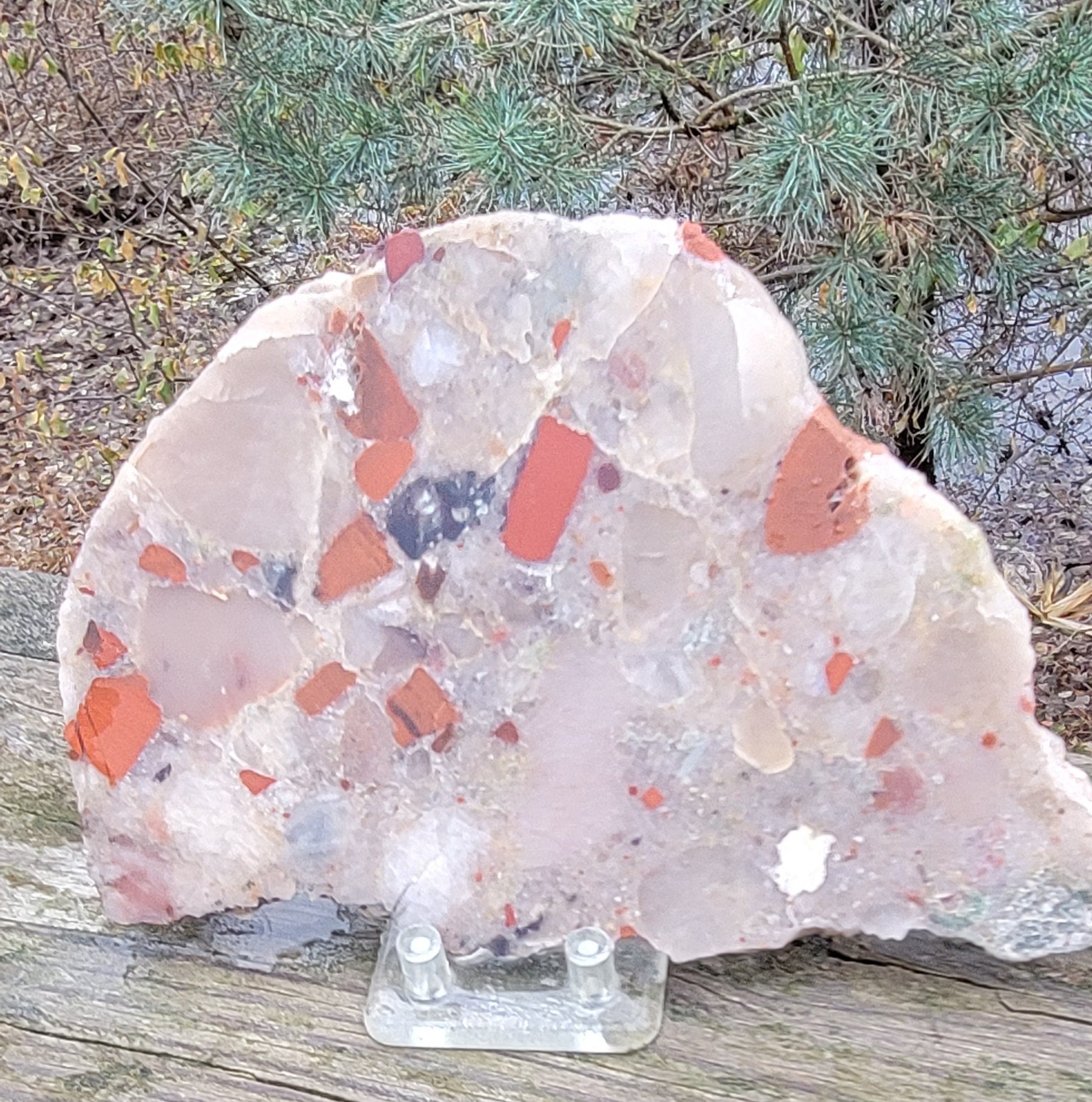 A Large Loaded Pudding Stone From Michigan Etsy