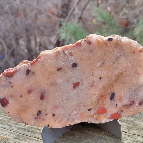 A Very Nice Rough Slab of Puddingstone