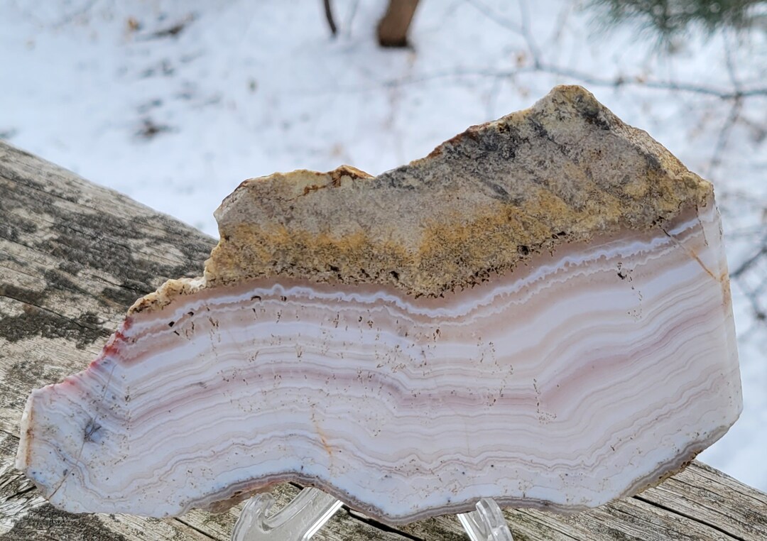 A Stunning Rough Slab of Sowbelly Agate Etsy