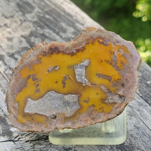 A Rare And Colorful Polished Kentucky Agate For Display