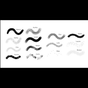 May include: A collection of 16 different black and white brush strokes, each labeled with a name. The brush strokes are all in the shape of a wave.