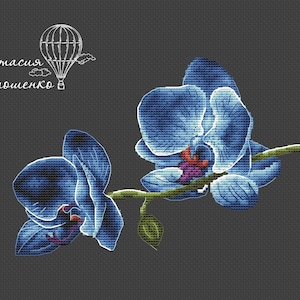 Schéma de point de croix Motif de broderie Orchidée PDF image 1