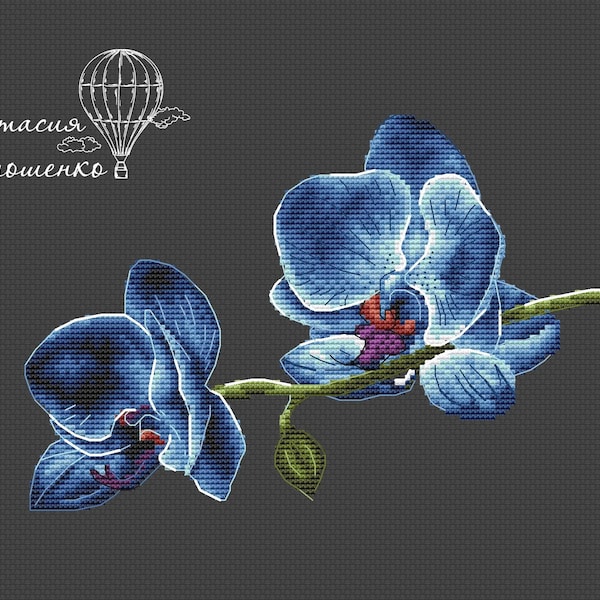 Schéma de point de croix Motif de broderie Orchidée PDF