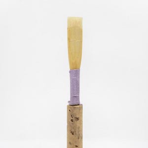 Oboe reeds for intermediate students