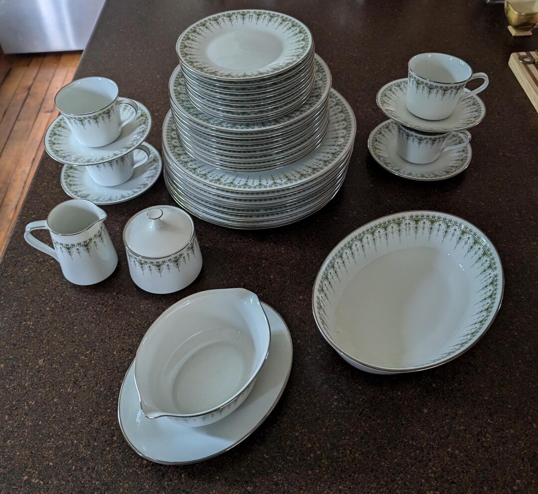 Noritake Dinnerware Set Forest Glen 45 Pieces