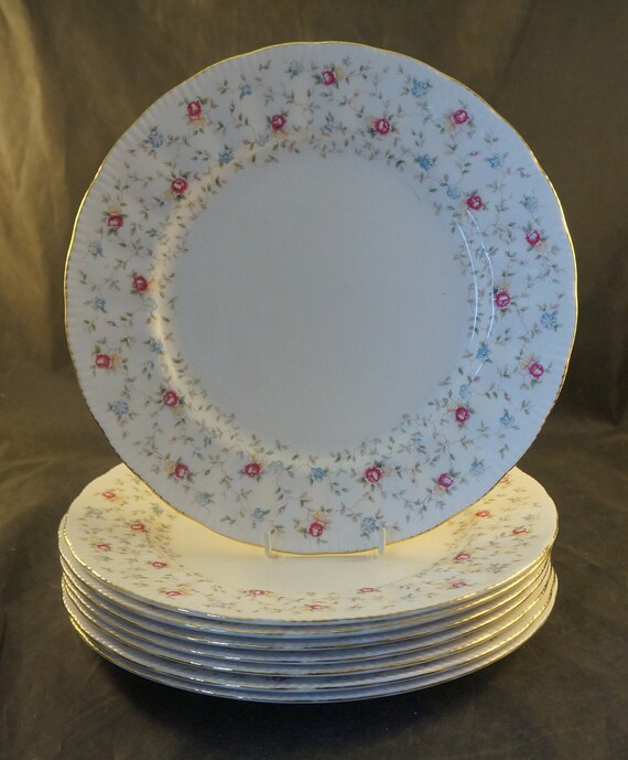 【PARAGON】プレート　セット　First Choice PARAGON】プレート セット First Choice 【公式通販】