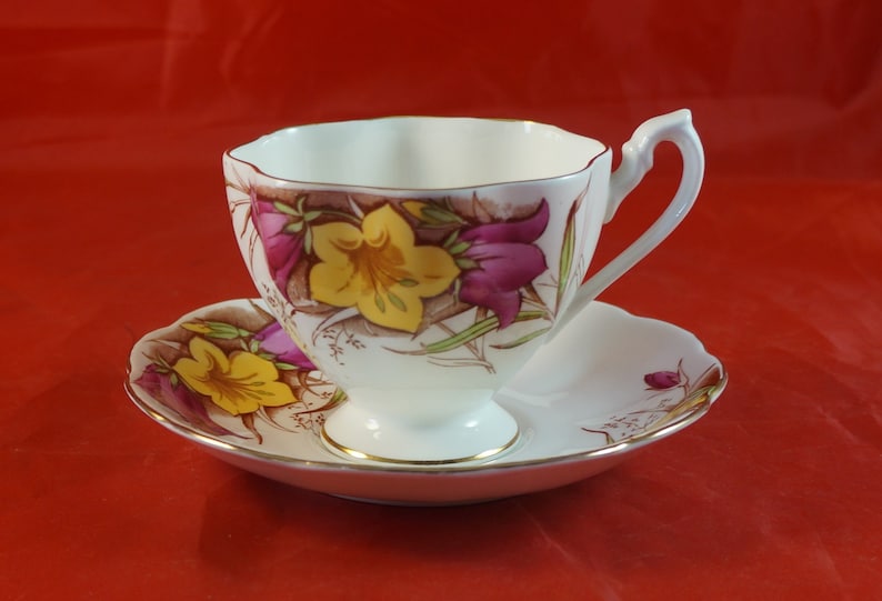 Bone China Cup and Saucer Queen Anne China Flowers