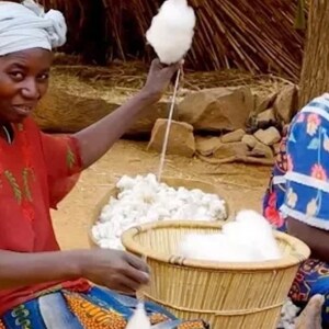 May include: Two women are working with cotton. One woman is spinning cotton on a spindle, while the other woman is separating cotton fibers in a woven basket. The women are wearing colorful clothing and head coverings.
