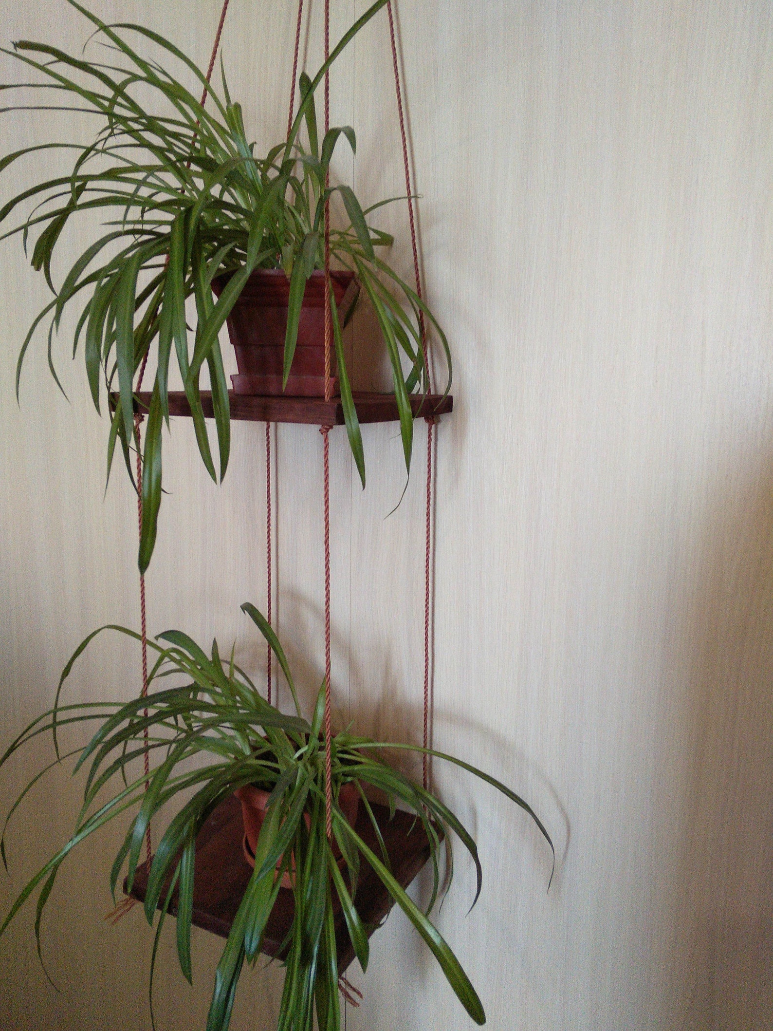 Wood hanging shelves Corner plant hanger Corner bookshelf