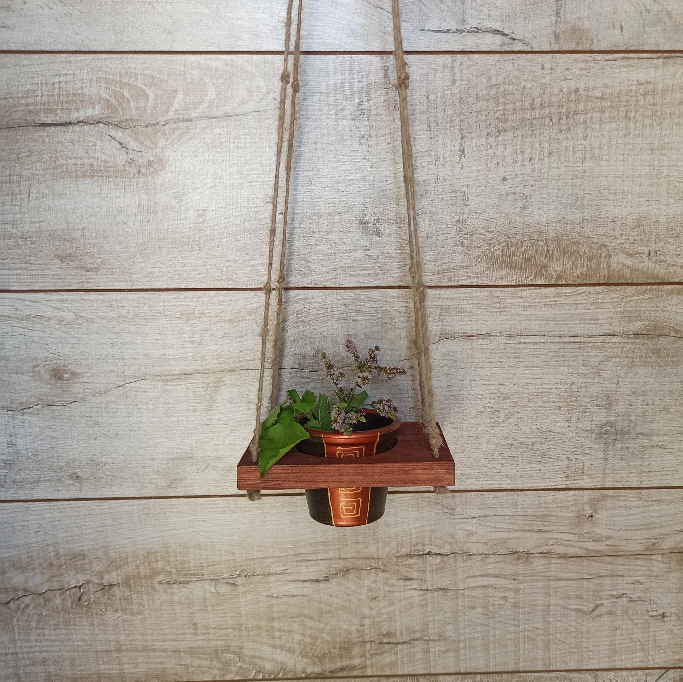 Air Plant Hanger Indoor Plant Stand Wooden plant hanger Etsy