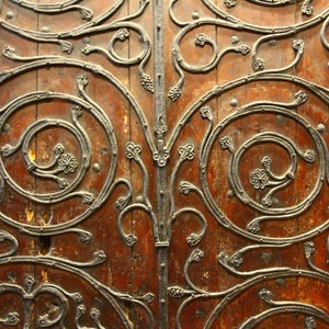 May include: Close-up of a wooden door with intricate metalwork. The metalwork is in the shape of swirling vines and leaves, creating a decorative pattern.