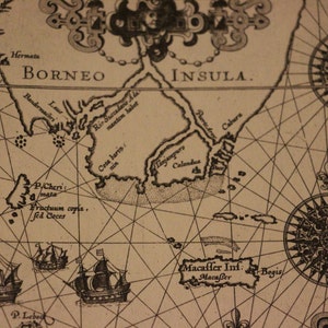 Digitaler Download Borneo