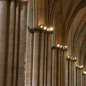 Columns & Vaulting Digital Fine Art Print