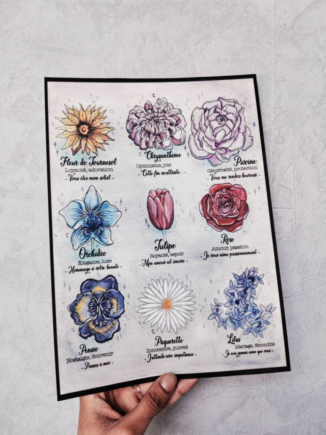 A Short Guide to the Language of Flowers illustration Etsy