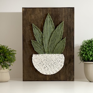 May include: A green plant with long leaves is strung with white yarn on a dark brown wooden background. The plant is in a white yarn pot.