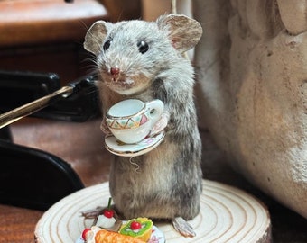Fiesta del té del ratón taxidermia