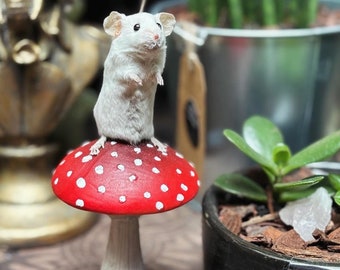 Taxidermy Mouse on Mushroom