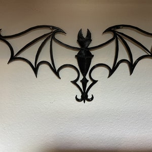 Fledermaus/Spinnennetz