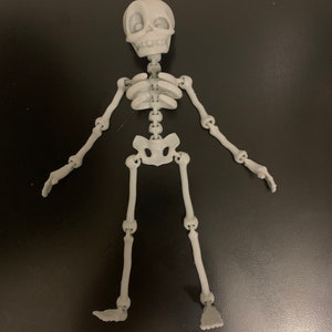 Pode incluir: Um brinquedo de esqueleto de plástico branco com juntas articuladas. O esqueleto está em pose com os braços estendidos e as pernas ligeiramente dobradas.