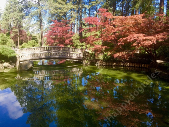 Japanese Garden Manito Park Spokane Washington Original Etsy