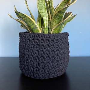 May include: A dark grey, crocheted plant pot containing a snake plant. The snake plant has long, striped green and yellow leaves. The pot is round and has a textured surface.