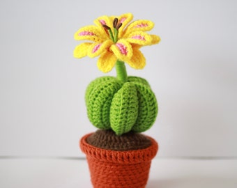 Crochet Cactus Pattern: Potted Plant with Flower (PDF)
