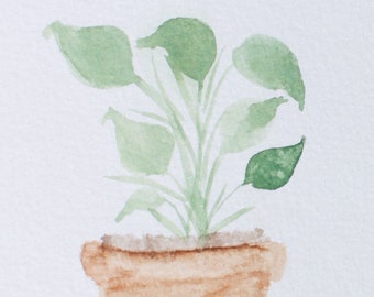Watercolor Plant- digital painting