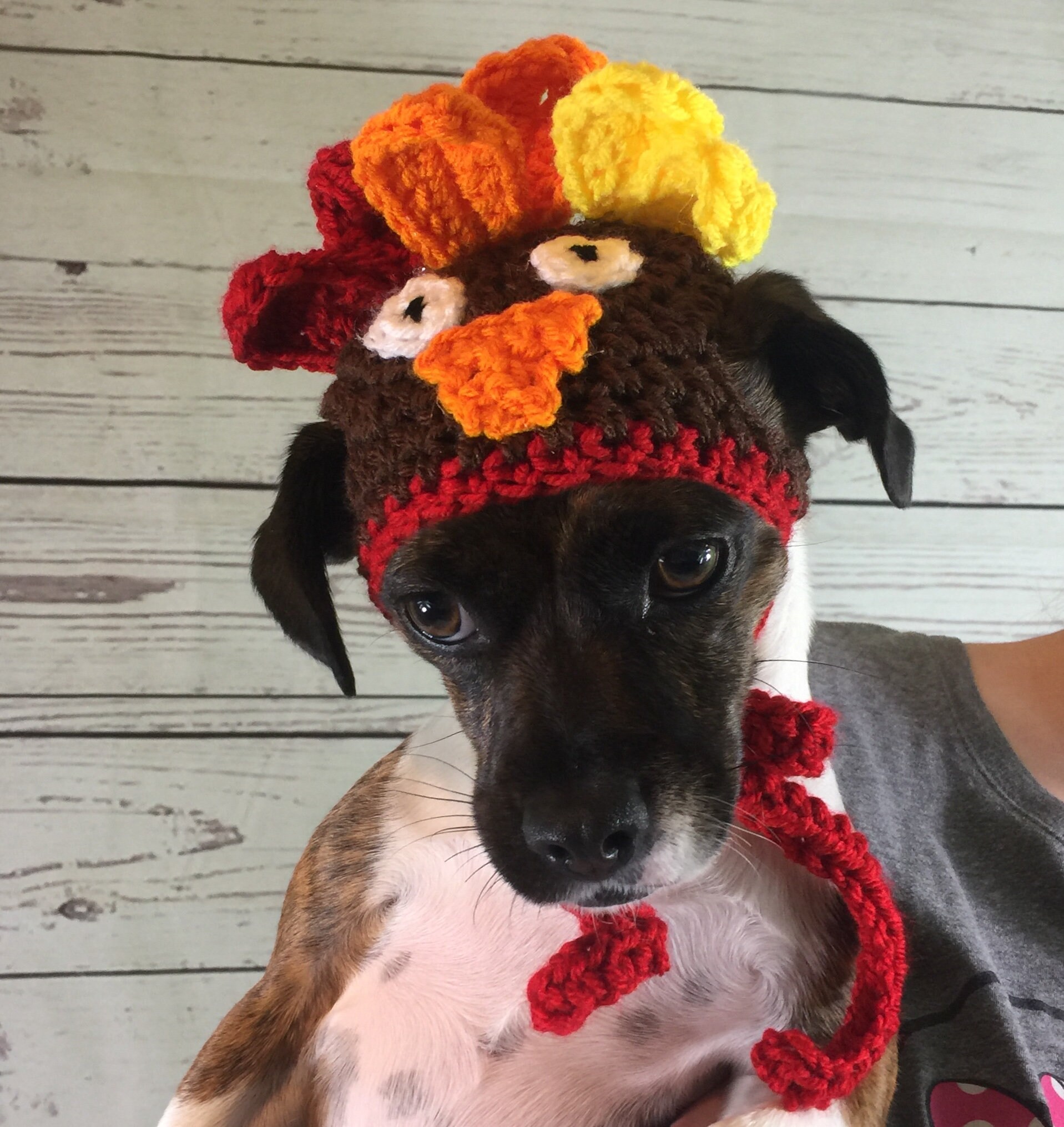 Cat Turkey Hat Crochet Pattern Crochet PDF Pattern Dog Etsy