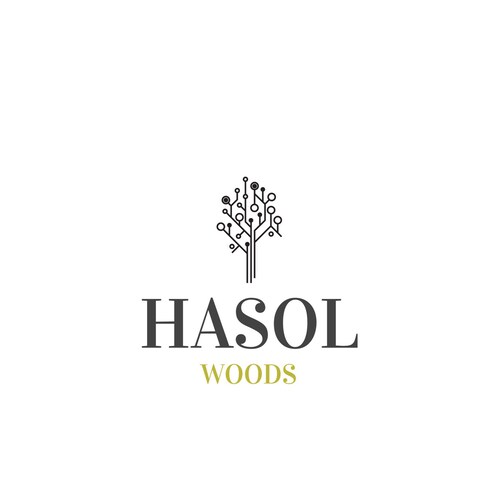 Etsy profile picture for @hasol