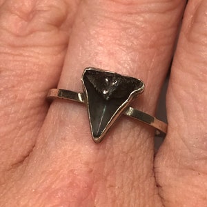 Sharks tooth ring