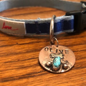 Customizable dog tag