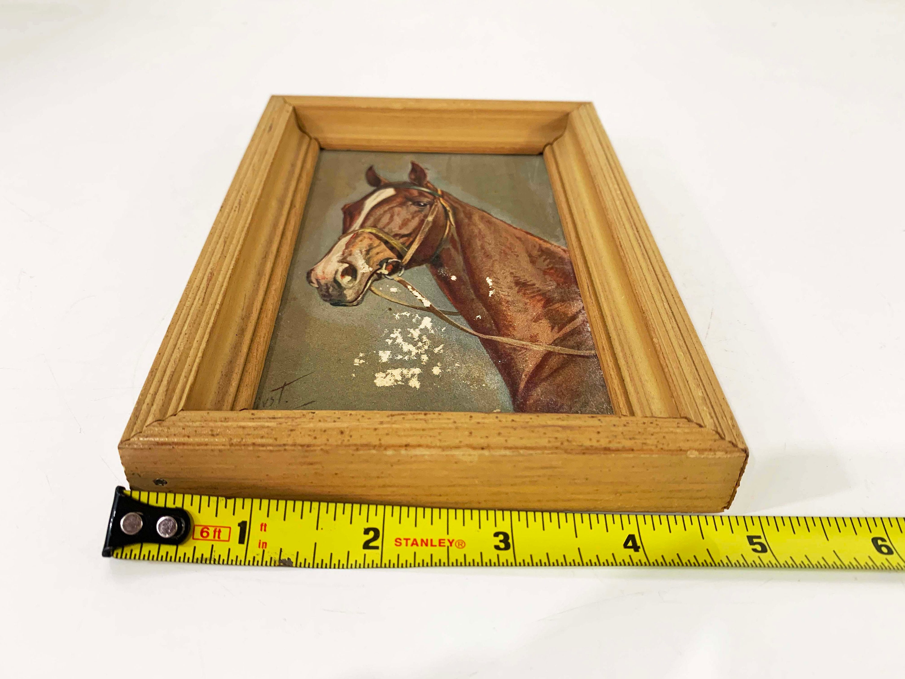 Vintage Framed Horse Print 3D Art Gray Green Brown Wood Frame Equestrian Decor Tiny Gallery Wall