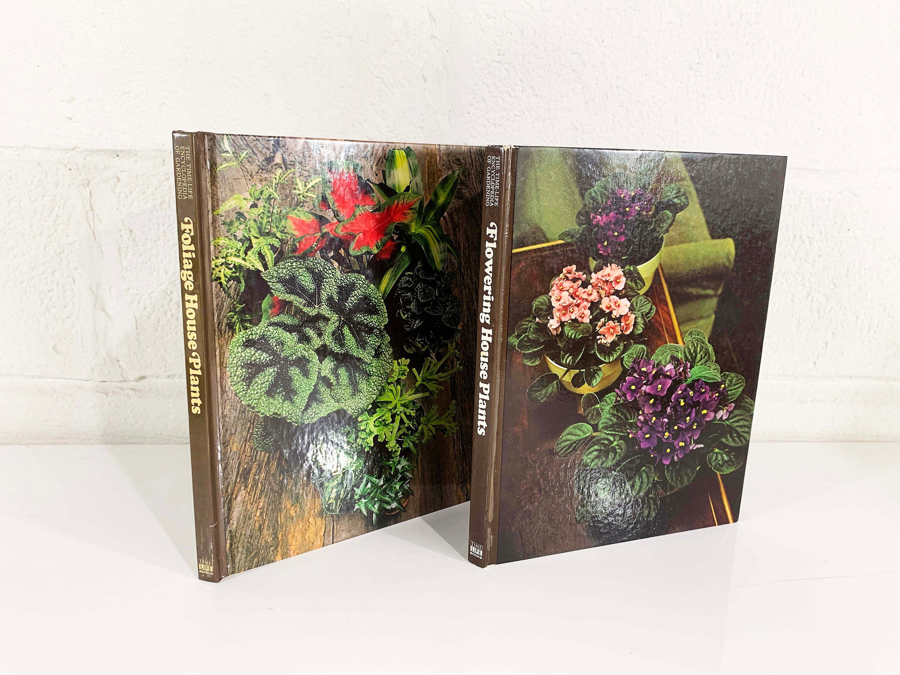 HOUSE PLANTS ARCHIVES visual data 8