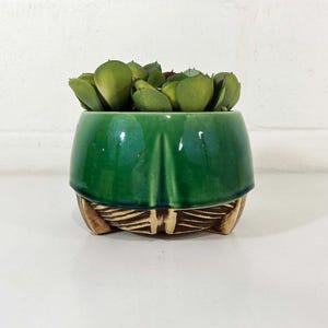 May include: A small, green ceramic planter with a glossy finish, holding a succulent plant. The planter has a unique design with a textured, light brown base. The plant's green leaves contrast with the planter's color, creating a visually appealing piece.