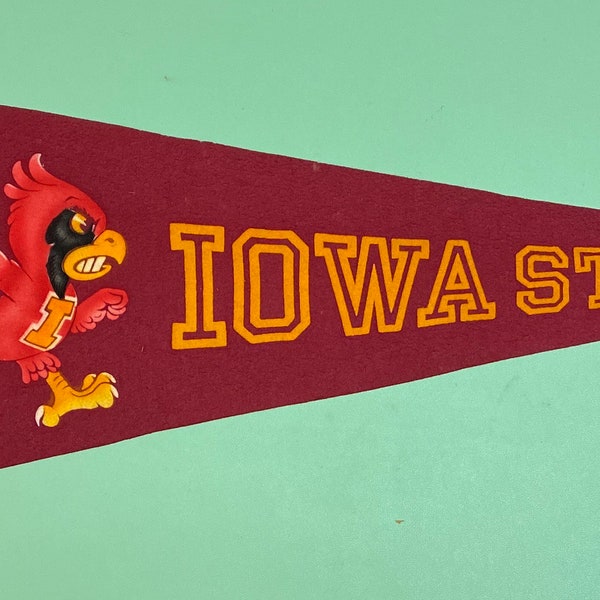 Vintage Iowa state cyclones College University Pennant Flag Banner 11x28 inch