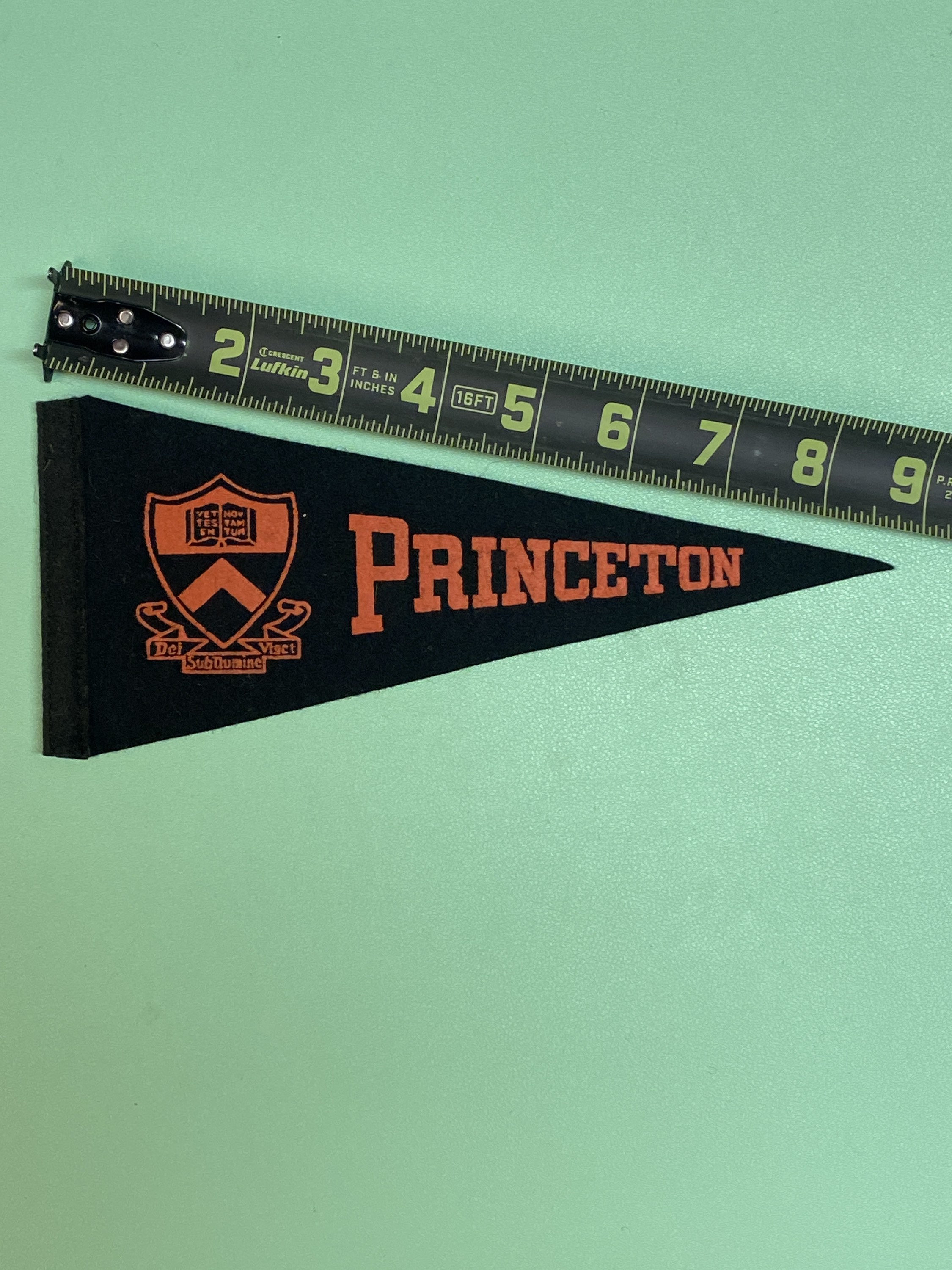 Princeton Pennant - Etsy