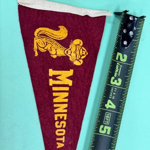 Minnesota Gophers Pennant Banner String - 8 Ft Long, 6x4 Inch Felt Flags, Indoor/Outdoor College Decor