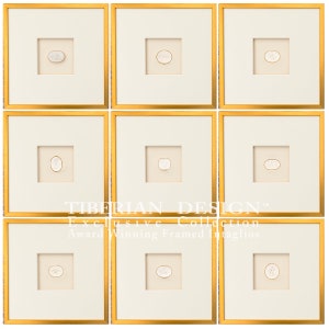 Set of Nine Neo-Classical Framed Intaglios:  Single Intaglio with  Framing, 14 1/2" x 14 1/2"