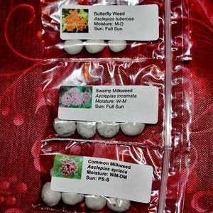 Milkweed Seed Bomb Collection 12ct