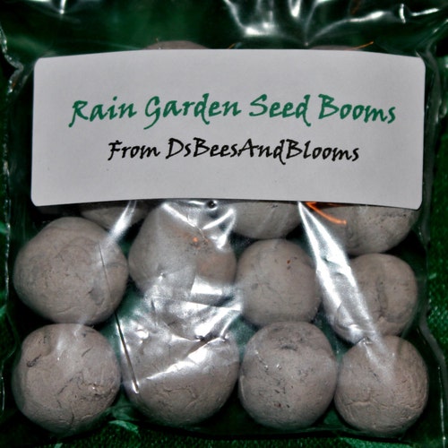 Bee Seed Bombs 12ct Etsy