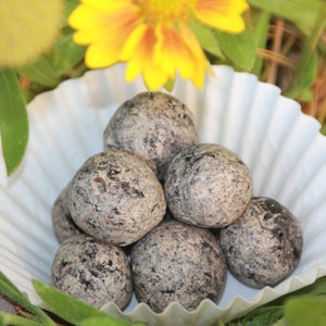 Hummingbird Seed Bombs 12ct