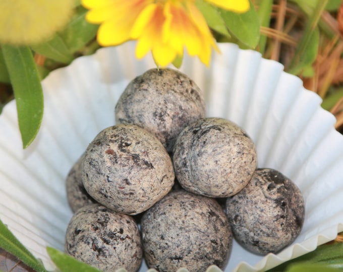 Hummingbird Seed Bombs 12ct