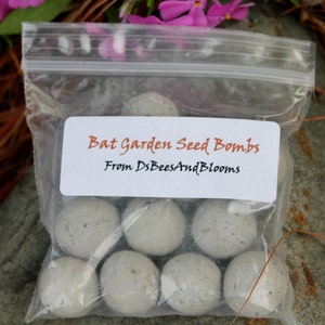 Bat Garden Seed Bombs 12ct